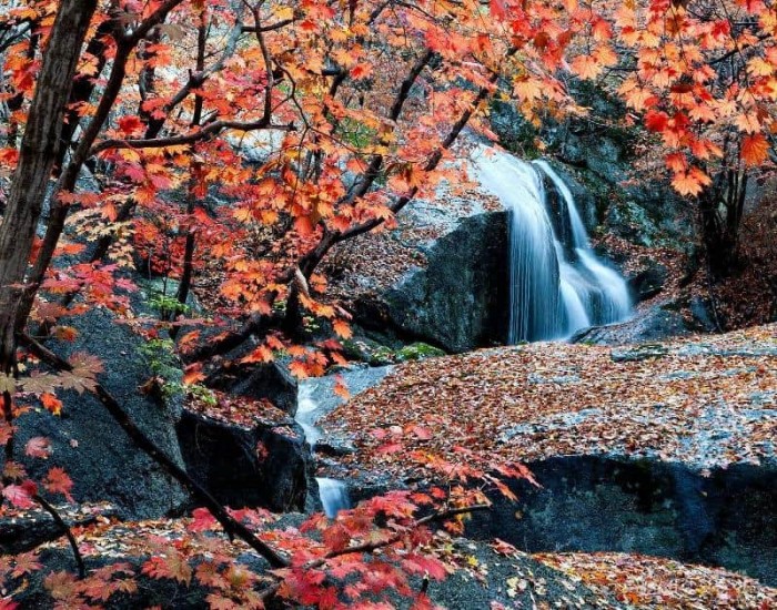 1.광양시, 가을 물든 백운산 꼭 가야 할 5가지 이유-관광과 2.jpg