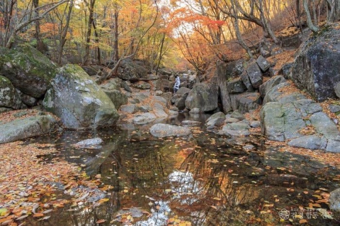 3.광양시 백운산 등산로 6코스, ‘걷고 싶은 전남숲길’ 선정-산림소득과 3.jpg