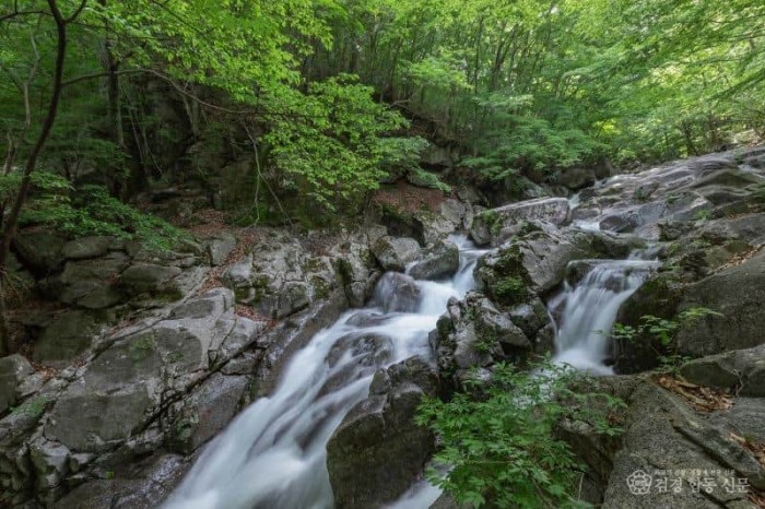 3.광양시 백운산등산로 6코스, ‘걷고 싶은 전남숲길’ 선정-산림소득과 4.jpg