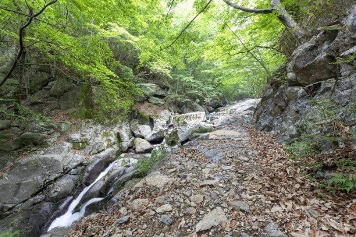 3.광양시 백운산 등산로 6코스, ‘걷고 싶은 전남숲길’ 선정-산림소득과 2.jpg