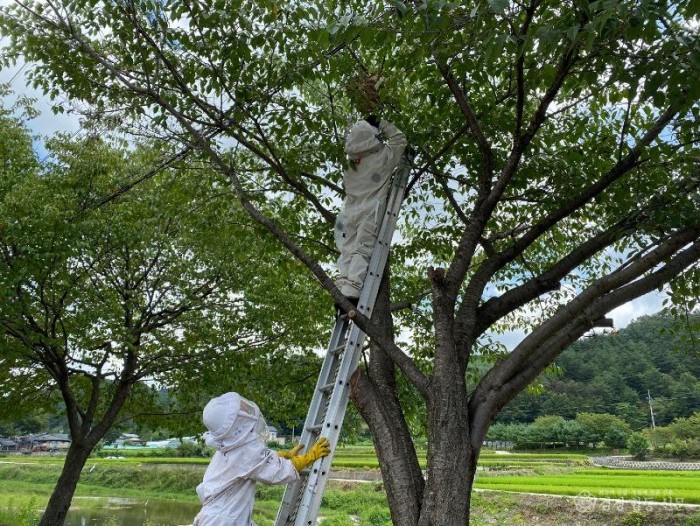 220616-1벌쏘임주의2.jpg