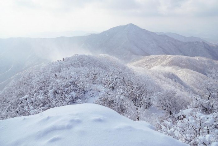 6.광양시, 환상적인 겨울 백운산 눈꽃여행 떠나 볼까-관광과 3.jpg