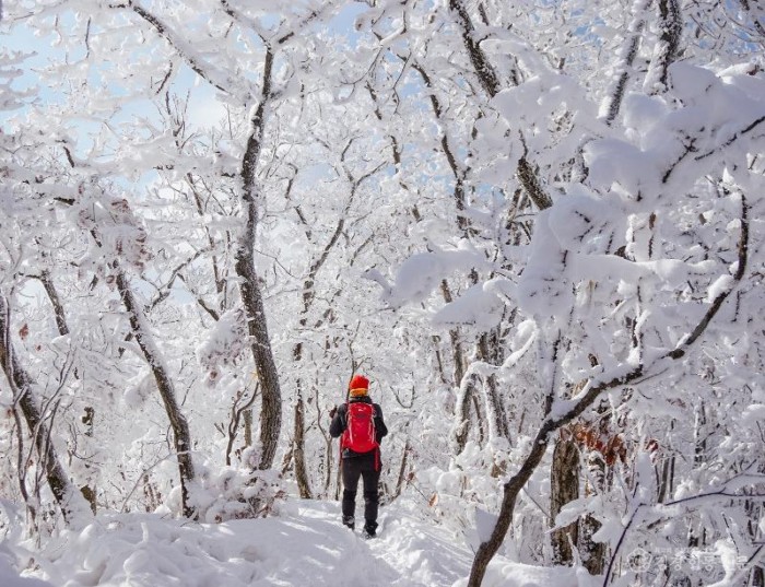 광양시, 눈부신 설경 자랑하는 백운산 눈꽃여행 어때요 - 관광과(예전 백운산 설경 사진).jpg