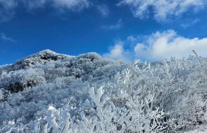 광양시, 눈부신 설경 자랑하는 백운산 눈꽃여행 어때요 - 관광과(2023년 12월 사진).jpg