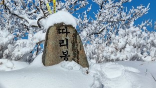 [광양시] 환상적인 겨울 백운산 눈꽃여행 떠나 볼까?