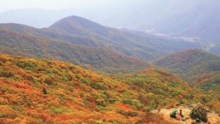 [광양시]  광양 백운산에서 가을의 끝자락을 구성하다