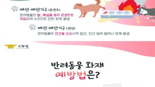 성산소방서, 반려동물에 의한 화재 주의 당부