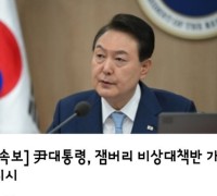 [속보]   尹대통령, 잼버리 비상대책반 가동 지시