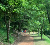 [광양시] 마동저수지 생태공원에 '맨발 산책로' 확대 조성